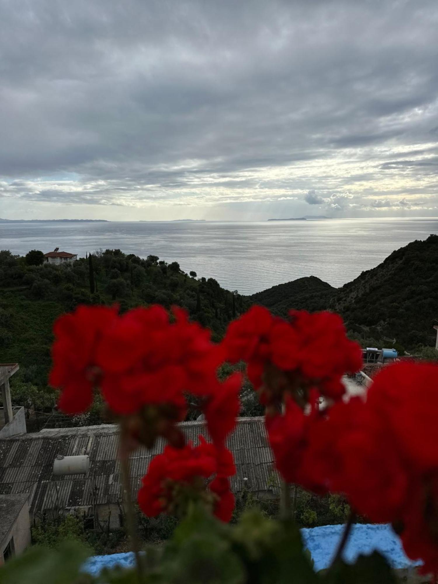 Selami Sea View Apartments Lukove Exterior photo