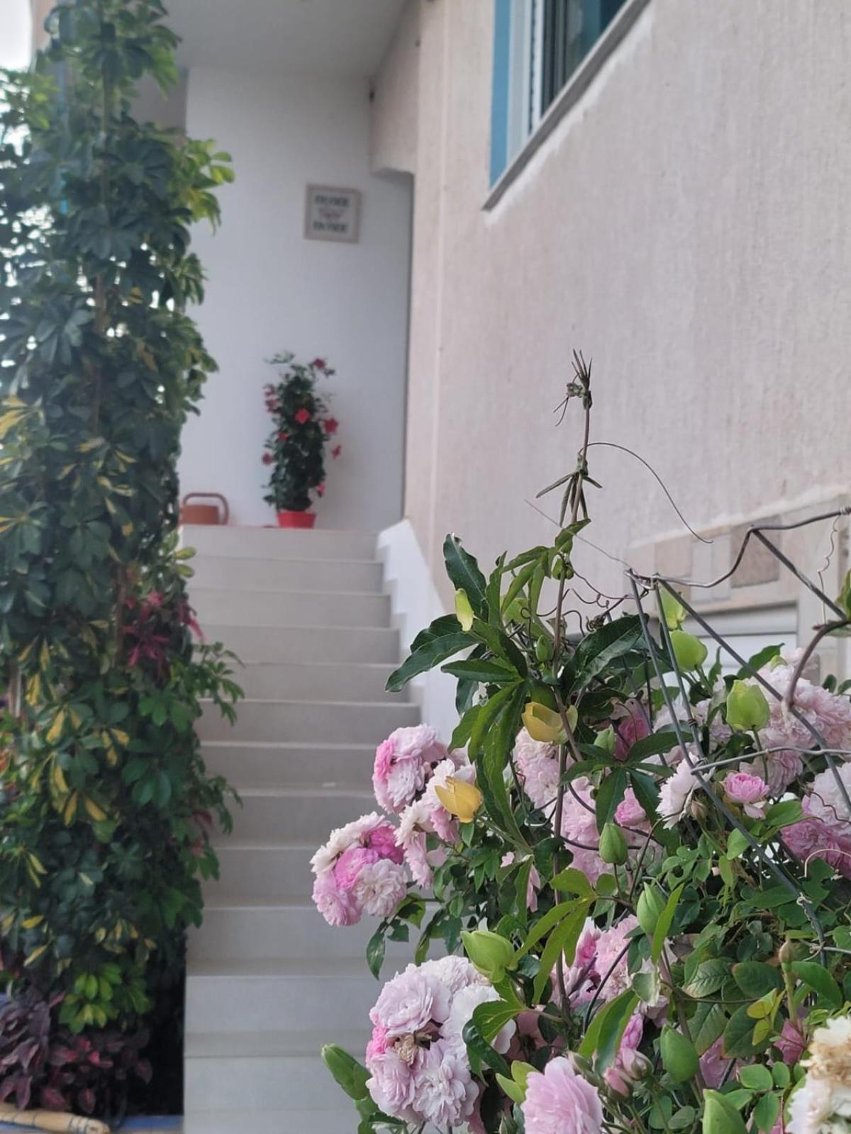 Selami Sea View Apartments Lukove Exterior photo